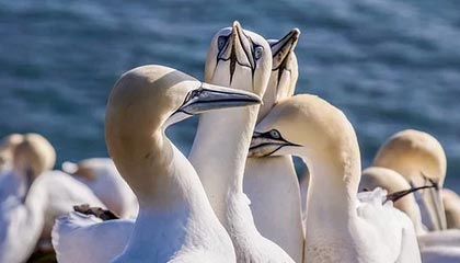 联盟宣布关于球员薪资的调整计划